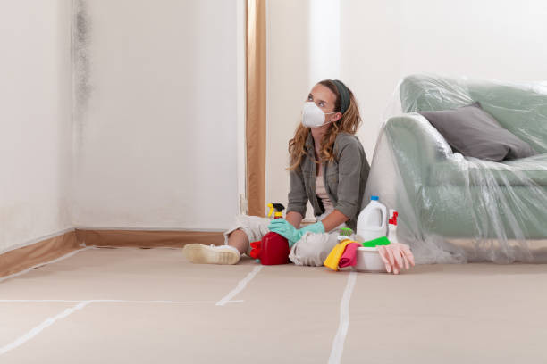 Reliable Mold Remediation contractor in Brentwood, TN by WQB Mold Removal